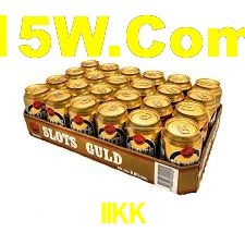 Experimente o Login Seguro Premium no IIKK
